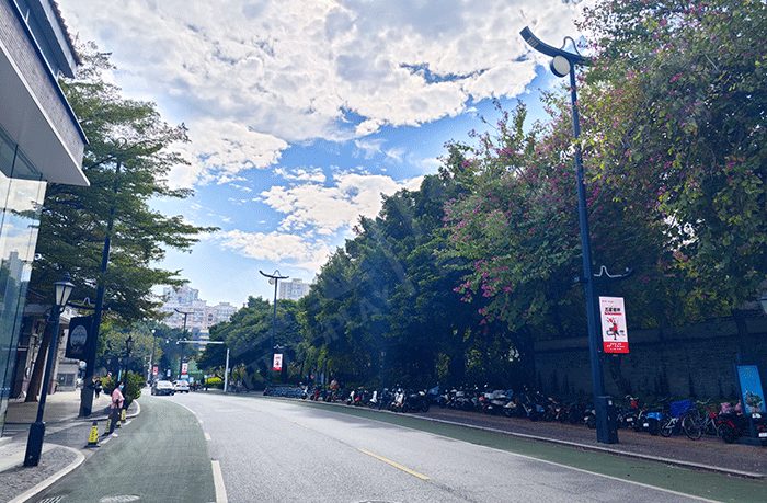 城市主干道燈桿屏應用 城市主干道燈桿屏應用